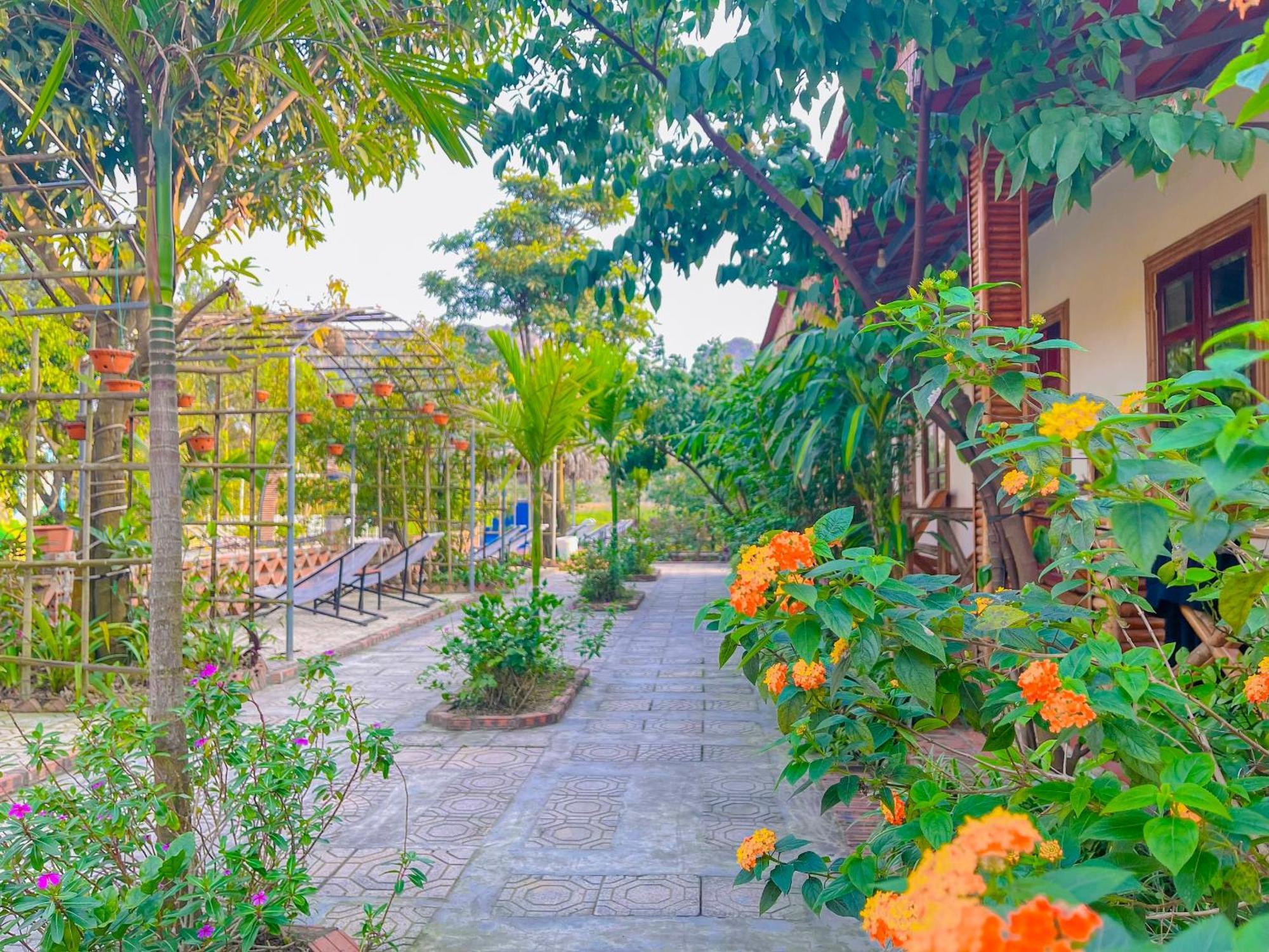 Trang An Quynh Trang Happy Homestay & Garden Ninh Bình Exteriör bild