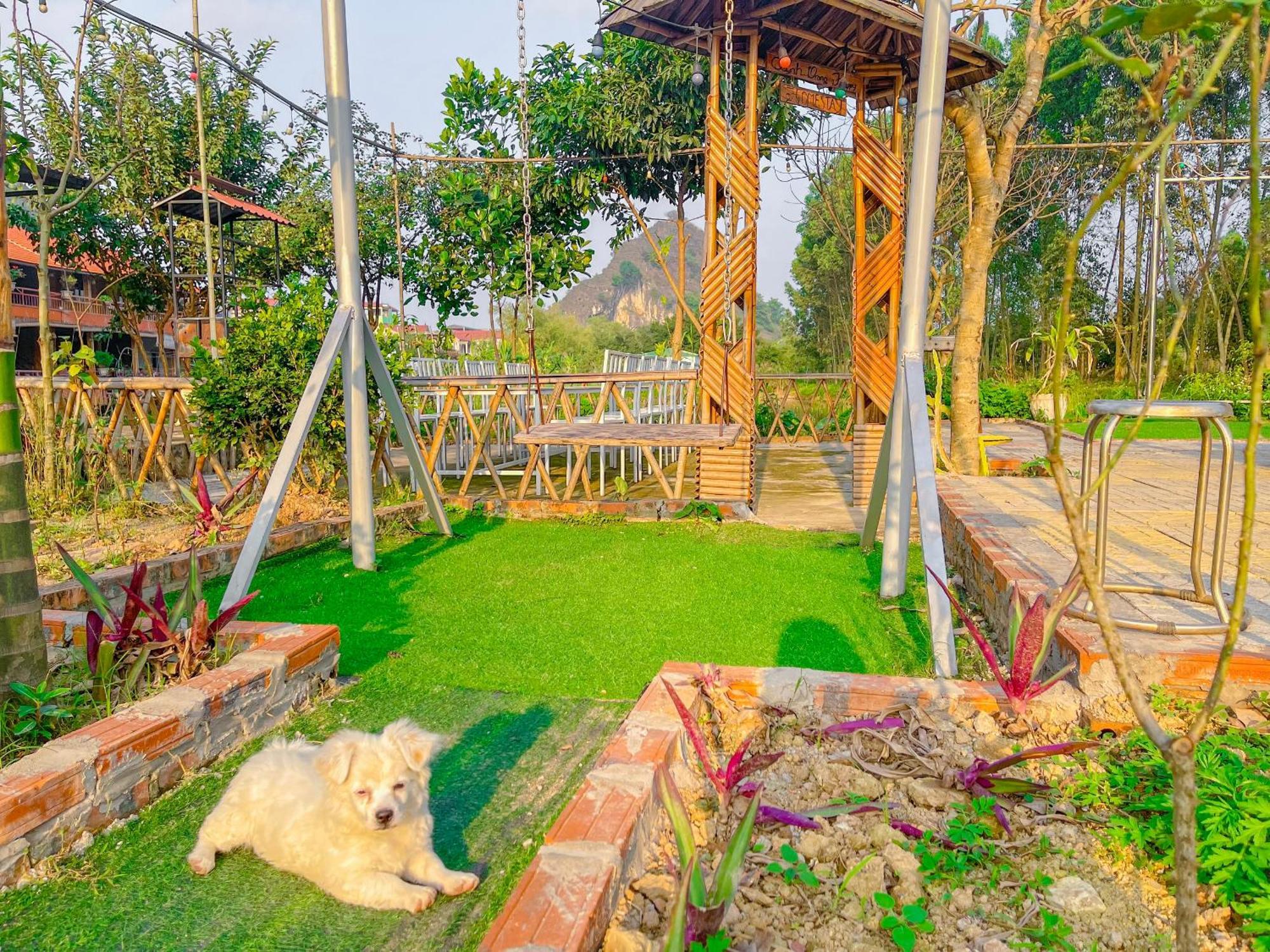 Trang An Quynh Trang Happy Homestay & Garden Ninh Bình Exteriör bild