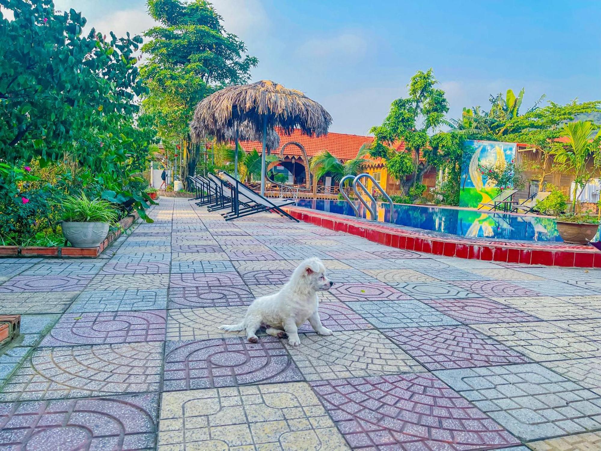 Trang An Quynh Trang Happy Homestay & Garden Ninh Bình Exteriör bild