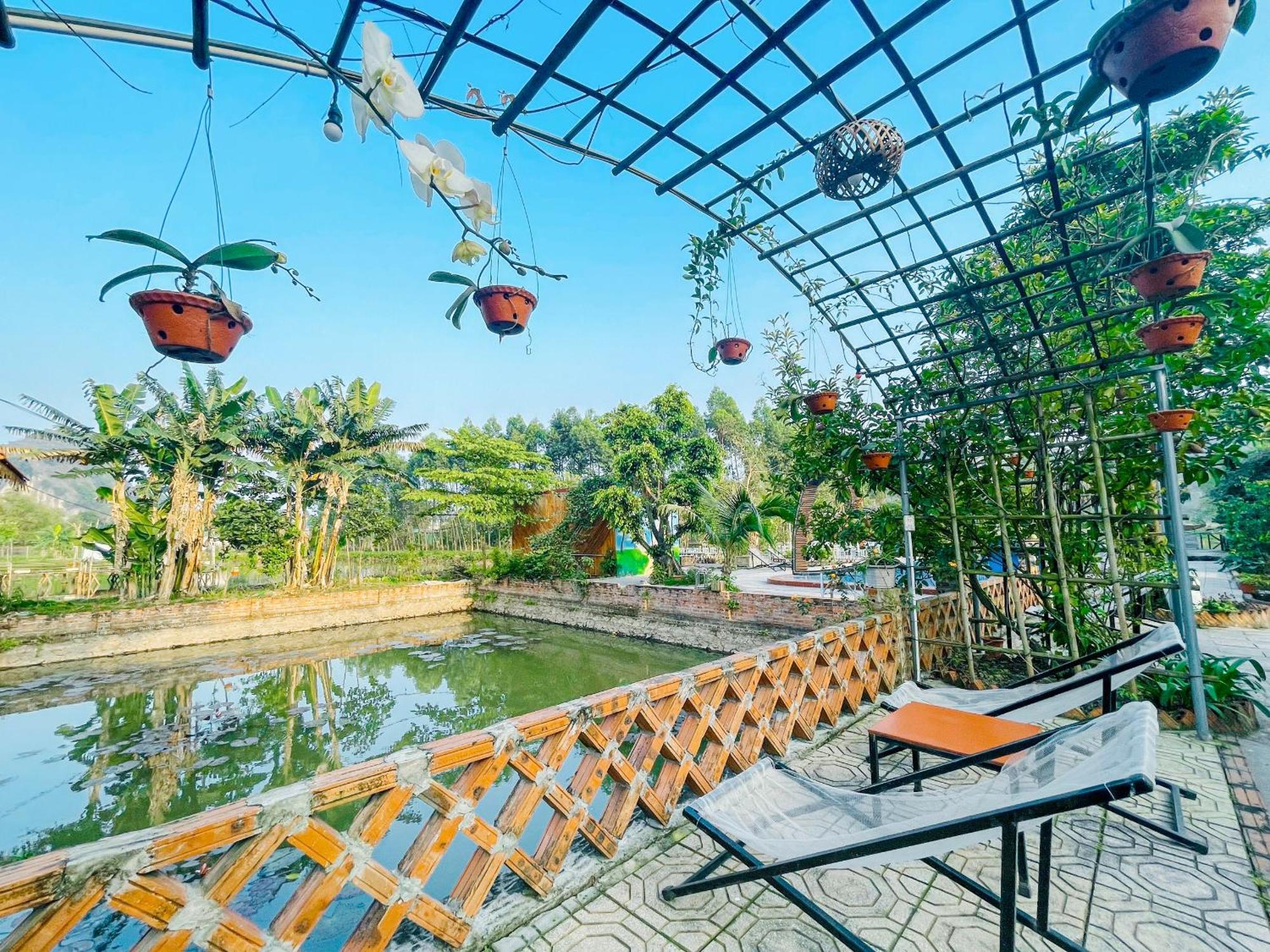 Trang An Quynh Trang Happy Homestay & Garden Ninh Bình Exteriör bild